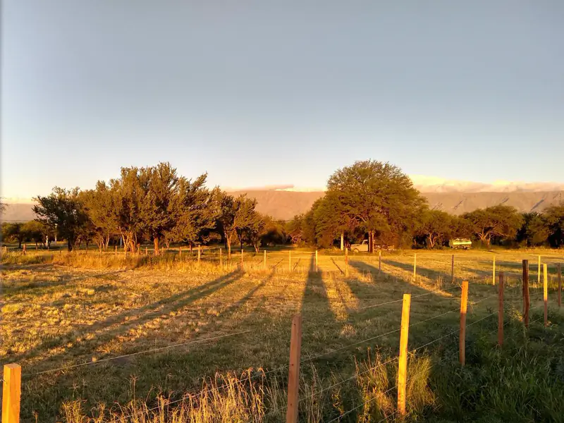 Solares del Valle — fotografía del entorno. Trazado interno entre árboles al atardecer · SOL-063-008