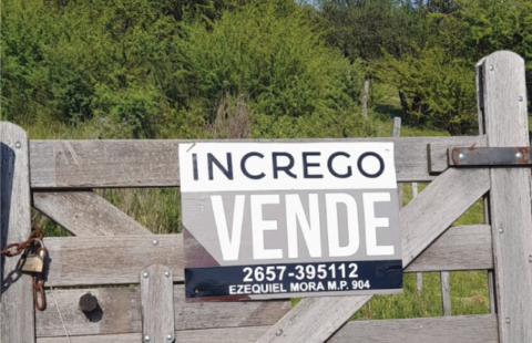 Oportunidad de lote en Cortaderas